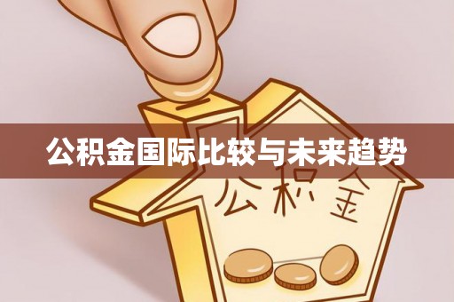 呼伦贝尔公积金国际比较与未来趋势
